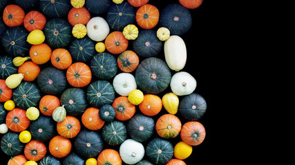 Pumpkins and squash wall on black background, autumn harvest, Thanksgiving and halloween background.