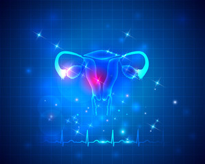 Fototapeta na wymiar Female reproductive organs uterus and ovaries health care on an abstract blue background, normal cardiogram at the bottom