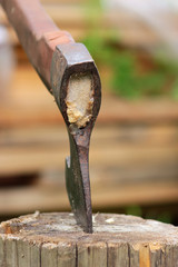 Old Axe stuck in tree