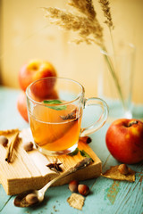 Honey with cinnamon sbiten