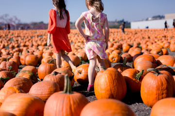 Sisters are enjoying their time together at a pumpkin patch during fall.