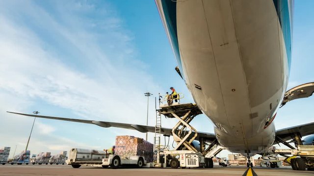 Business of air cargo freighter with import and export