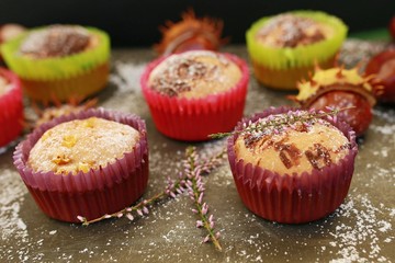 Colorful homemade cupcakes made of cornflour with hint of chocolate with chestnut in the background