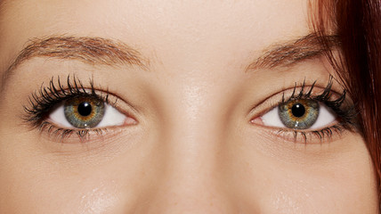 Obraz premium A beautiful insightful look woman's eyes.