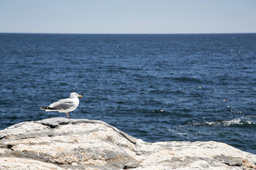 The Pemaquid Point lighthouse