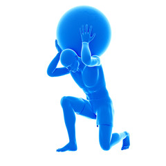 3d rendered medically accurate illustration of an atlas