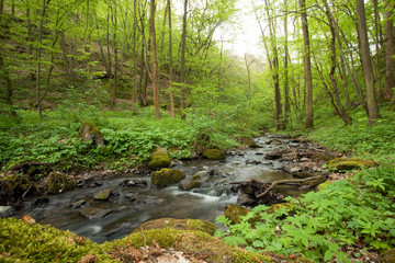 Creek, Czech Republic