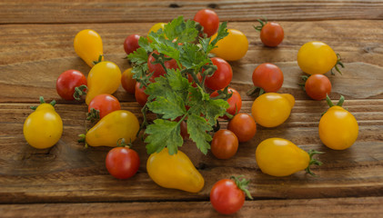 Tomatoes on wooden background