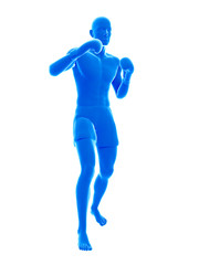 3d rendered medically accurate illustration of a boxer