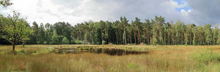 Galgenvenn bei Kaldenkirchen/Venlo