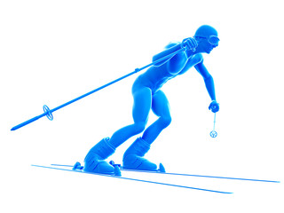 3d rendered medically accurate illustration of a skier