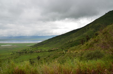 Fototapeta na wymiar The African landscape. Ngorongoro, Tanzania