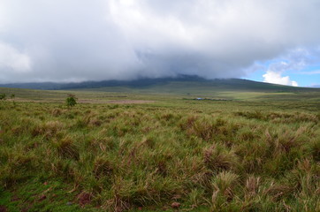The African landscape. Ngorongoro, Tanzania