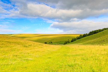 Sussex Landscape