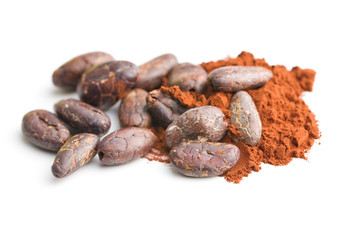 Tasty cocoa powder and beans.