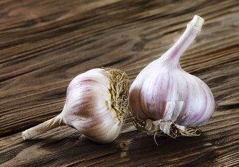 Garlic close-up
