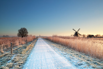 cycling road in Dutch countryside during winter - obrazy, fototapety, plakaty