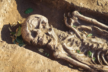 Archaeological excavations. research on human burial, skeleton, skull