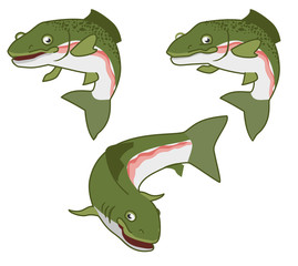 rainbow trout. the fish print on white background. vector