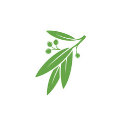 Green branch