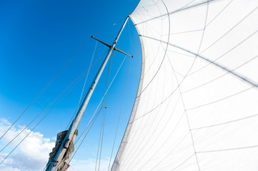 Fototapeta premium White yacht sails in sunlight on blue cloudy sky background.