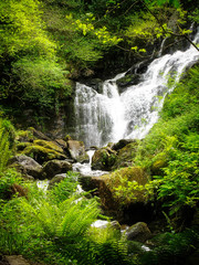 Fototapeta na wymiar Waterfall in Ireland