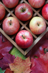 Red apples in a wooden box with cells