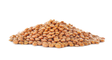 Heap of brown lentils, isolated on white