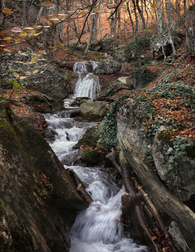 stream between stones in autumn forest