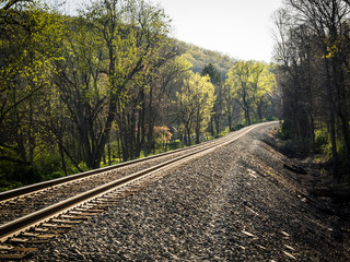 Fototapeta premium Train Tracks Through Trees in Rural Virginia