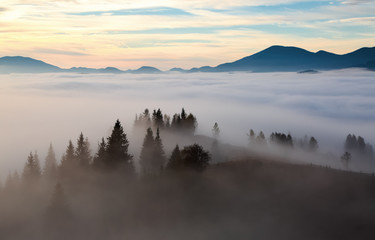 Scarlet, red, orange, yellow stripes on the horizon of the dawn sky.