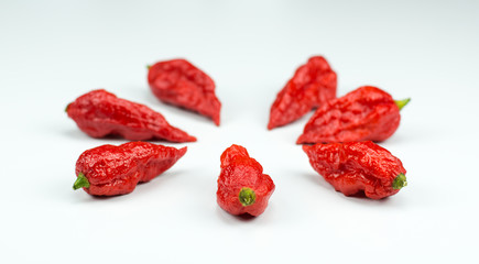 Bhut Jolokia Hot Chili peppers in a circle as a High Key product photo