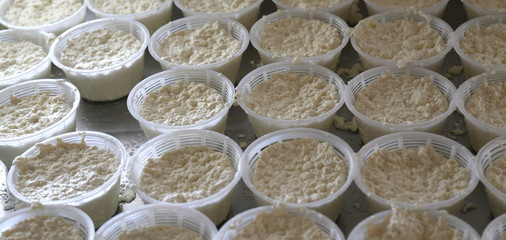forms of fresh cheese in the dairy in mountain