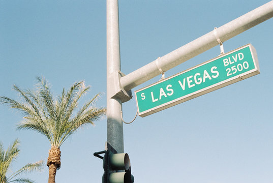 Las Vegas Boulevard Street Sign with Palm Tree