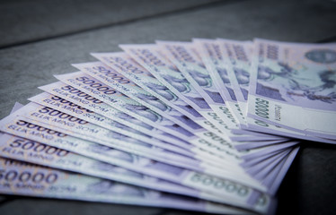 Uzbek banknotes. Fifty Thousand Uzbek Sums