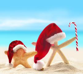 starfish in santa hat on sandy beach