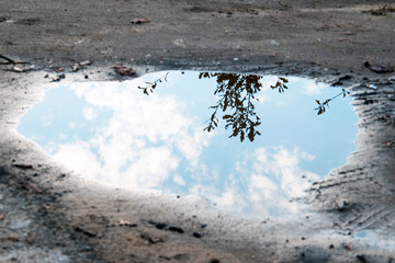 water puddle on the ground background