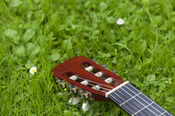 Guitar on the grass.