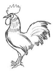 cockerel symbol of sunrise