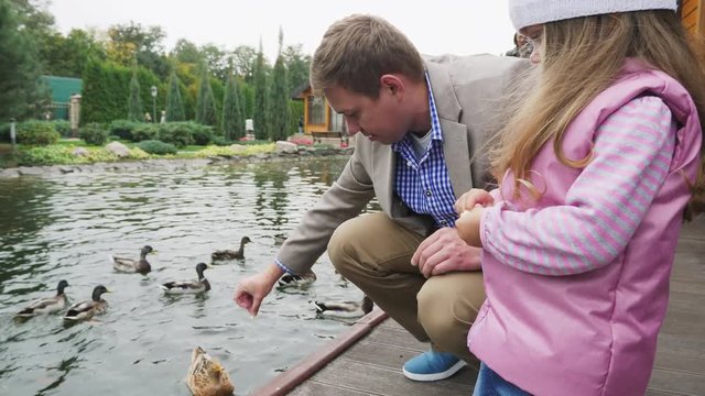 Feeding the ducks in the lake. Father and daughter are fed ducks in a city park by the lake