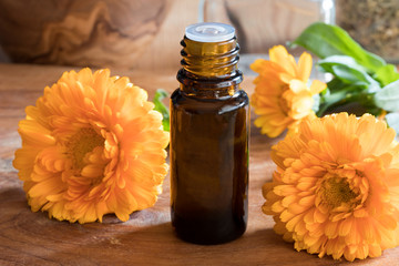 A bottle of calendula essential oil with fresh calendula