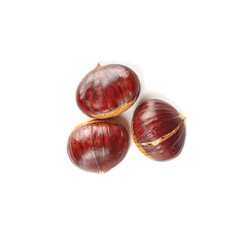 Chestnuts isolated on white background