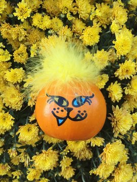 Little pumpkins with faces drawn on them