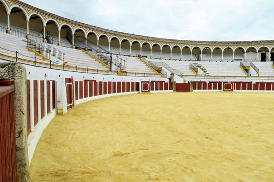 Spanish ringbull