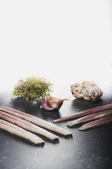 Anguille en lamelles