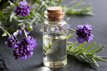 A bottle of lavender essential oil on a dark background