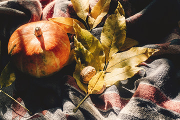 autumn pumpkin with colorful leaves and walnuts on stylish scarf fabric in sun light. happy halloween or thanksgiving top view. seasonal greetings, fall holidays. harvest time. cozy mood