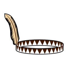 Isolated indian hat