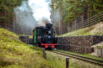 Train on a narrow-gauge railway