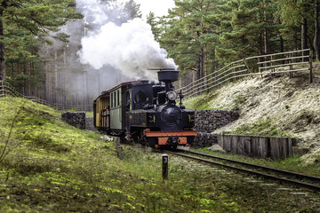 Train on a narrow-gauge railway